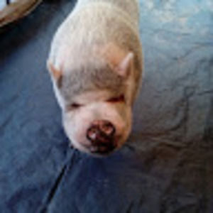 Meet your Posher, Stacia